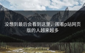 没想到最后会看到这里，围着p站网页版的人越来越多
