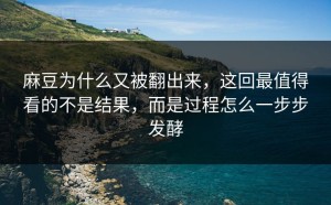 麻豆为什么又被翻出来，这回最值得看的不是结果，而是过程怎么一步步发酵