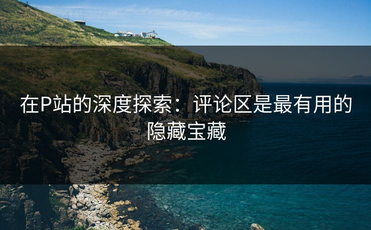 在P站的深度探索：评论区是最有用的隐藏宝藏