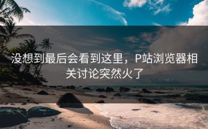 没想到最后会看到这里，P站浏览器相关讨论突然火了