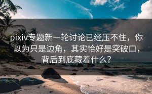 pixiv专题新一轮讨论已经压不住，你以为只是边角，其实恰好是突破口，背后到底藏着什么？