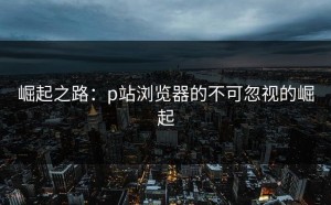 崛起之路：p站浏览器的不可忽视的崛起