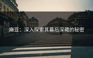 麻豆：深入探索其幕后深藏的秘密