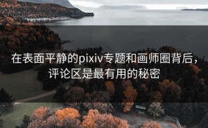 在表面平静的pixiv专题和画师圈背后，评论区是最有用的秘密