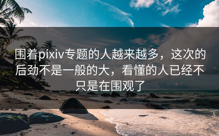 围着pixiv专题的人越来越多，这次的后劲不是一般的大，看懂的人已经不只是在围观了