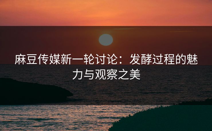 麻豆传媒新一轮讨论：发酵过程的魅力与观察之美