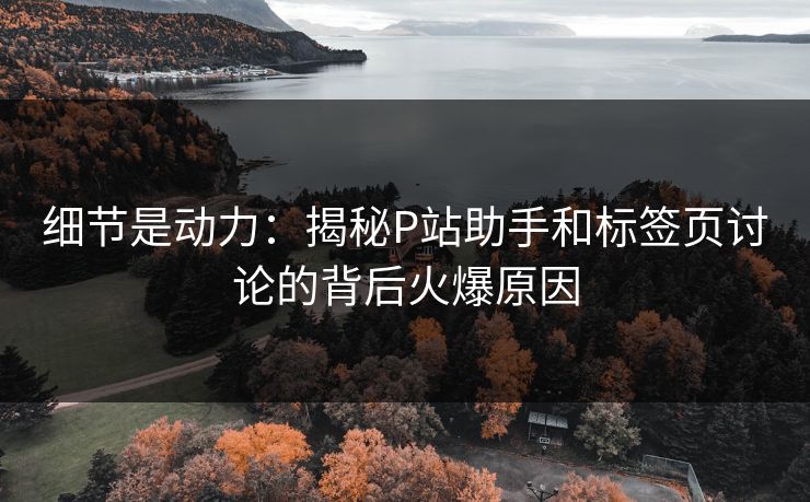 细节是动力:揭秘P站助手和标签页讨论的背后火爆原因 细节是动力:揭秘P站助手和标签页讨论的背后火爆原因